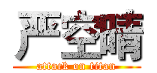 严空晴 (attack on titan)