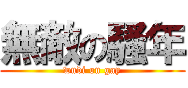 無敵の騷年 (wudi on gay)