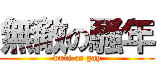 無敵の騷年 (wudi on gay)