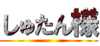 しゅたん様 ()