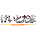 けいとだま (keitodama)