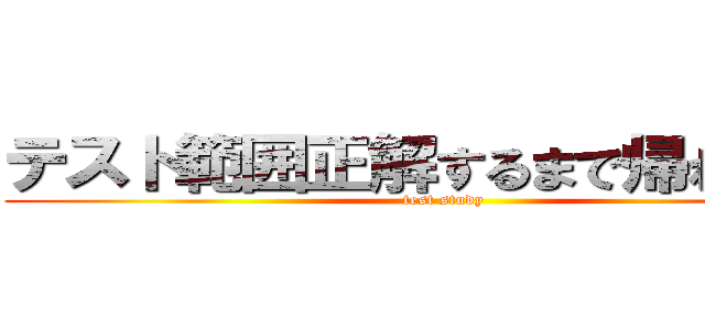 テスト範囲正解するまで帰れま１０ (test study)