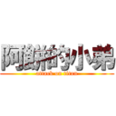 阿餅的小弟 (attack on titan)