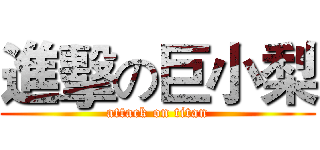 進擊の巨小梨 (attack on titan)