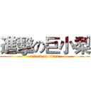 進擊の巨小梨 (attack on titan)