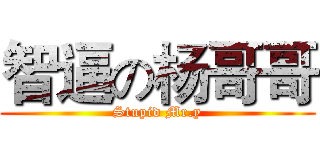 智逼の杨哥哥 (Stupid Mr.y)