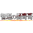 智逼の杨哥哥 (Stupid Mr.y)