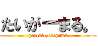 たいがーまる。 (youtube okayama)