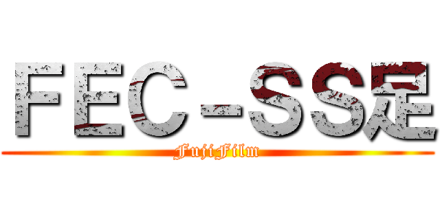 ＦＥＣ－ＳＳ足 (FujiFilm)