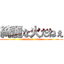 綺麗な火だねぇ (attack on titan)