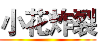 小花炸裂 ()
