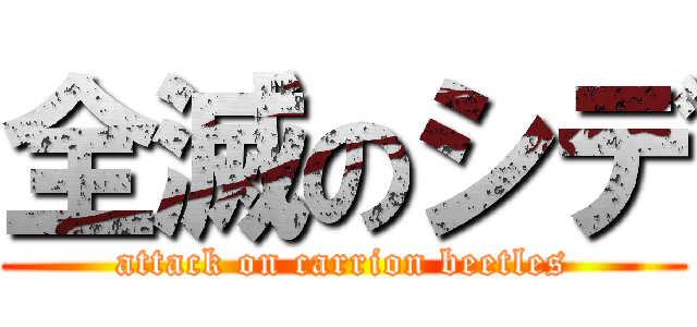 全滅のシデ (attack on carrion beetles)