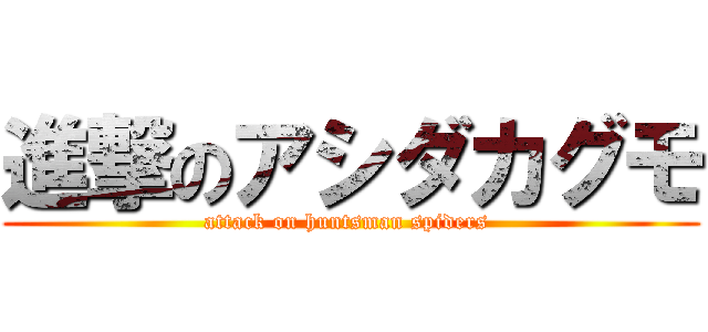 進撃のアシダカグモ (attack on huntsman spiders )