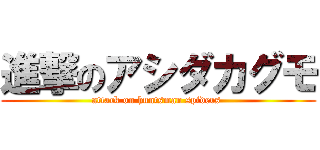 進撃のアシダカグモ (attack on huntsman spiders )