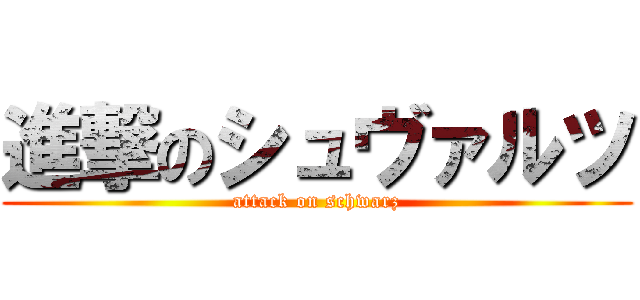 進撃のシュヴァルツ (attack on schwarz)