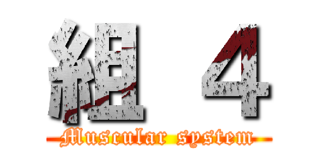 組 ４ (Muscular system)
