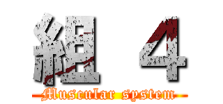 組 ４ (Muscular system)