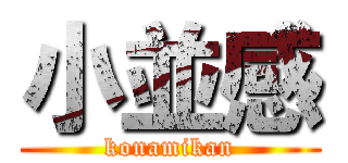 小並感 (konamikan)