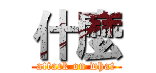 什麼 (attack on what)