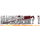 動漫漫畫吧！ (attack on amine)