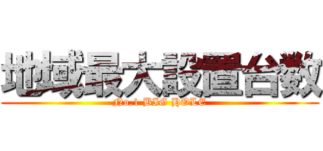 地域最大設置台数 (No.1 BIG HOLE)