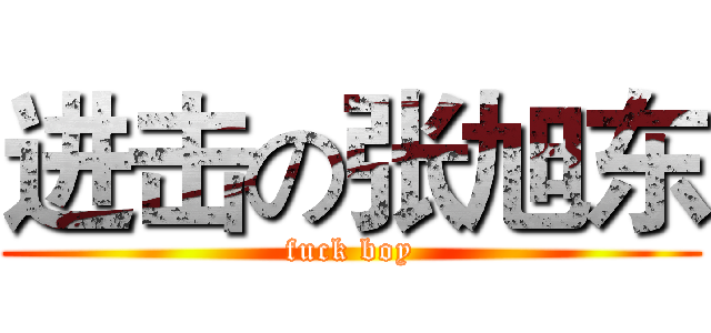 进击の张旭东 (fuck boy)