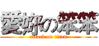 愛妳の笨笨 (attack on titan)