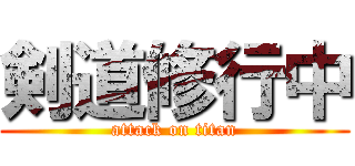 剣道修行中 (attack on titan)