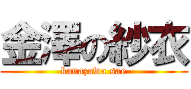 金澤の紗衣 (kanazawa sae)