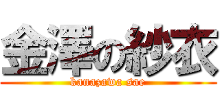 金澤の紗衣 (kanazawa sae)