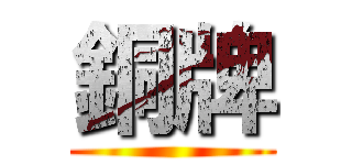 銅牌 ()