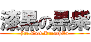 漆黒の黒柴 (Jet-black Kuroshiba)