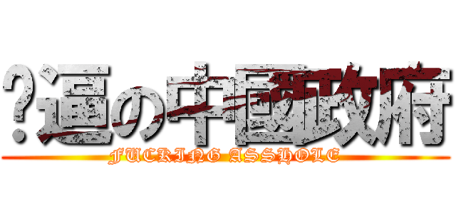 傻逼の中國政府 (FUCKING ASSHOLE)