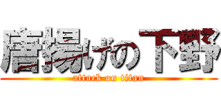 唐揚げの下野 (attack on titan)