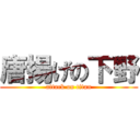唐揚げの下野 (attack on titan)