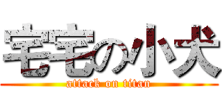 宅宅の小犬 (attack on titan)