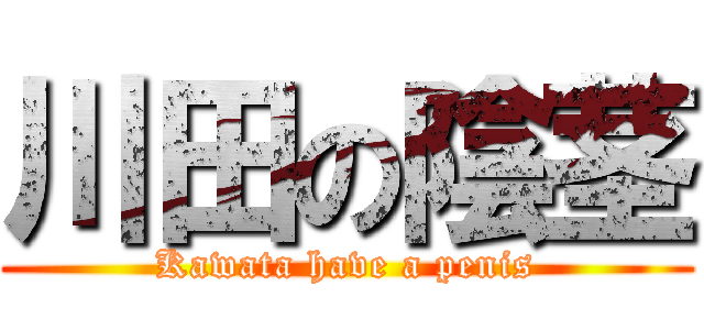 川田の陰茎 (Kawata have a penis)