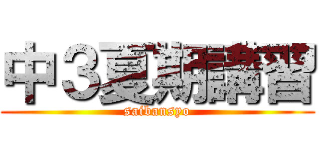 中３夏期講習 (saibansyo)