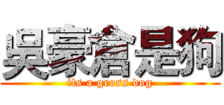 吳豪倉是狗 (its a gross dog)