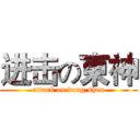 进击の東神 (attack on dong shen)