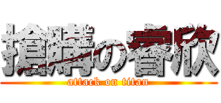 搶購の睿欣 (attack on titan)