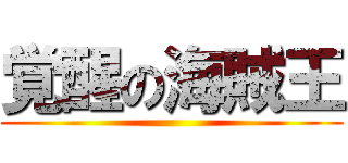 覚醒の海賊王 ()