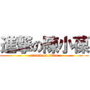 進撃の陳小葆 (attack on titan)