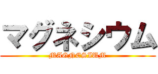 マグネシウム (MAGNESIUM)