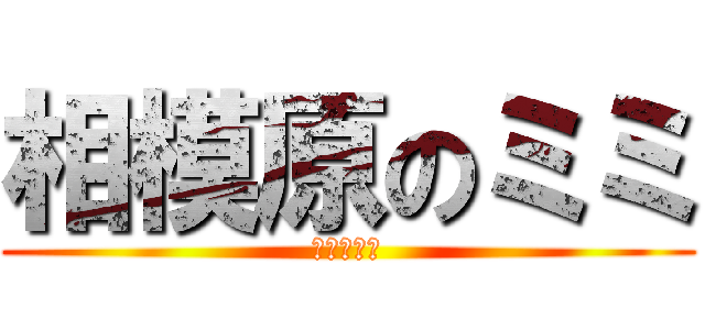 相模原のミミ (（３３歳）)