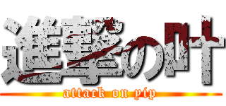 進撃の叶 (attack on yip)