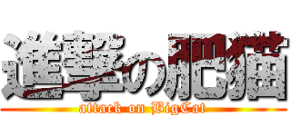 進撃の肥猫 (attack on BigCat)
