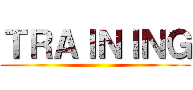 ＴＲＡＩＮＩＮＧ ()