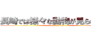 長崎では様々な動物が見られます。 (attack on titan)