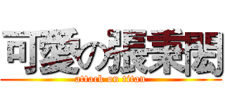 可愛の張秉閎 (attack on titan)